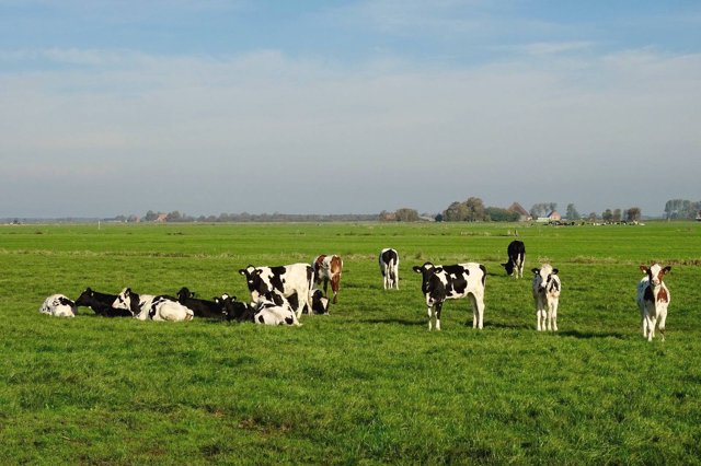 Biologisch boeren met lavameel: de FiBL-lijst uitgelegd
