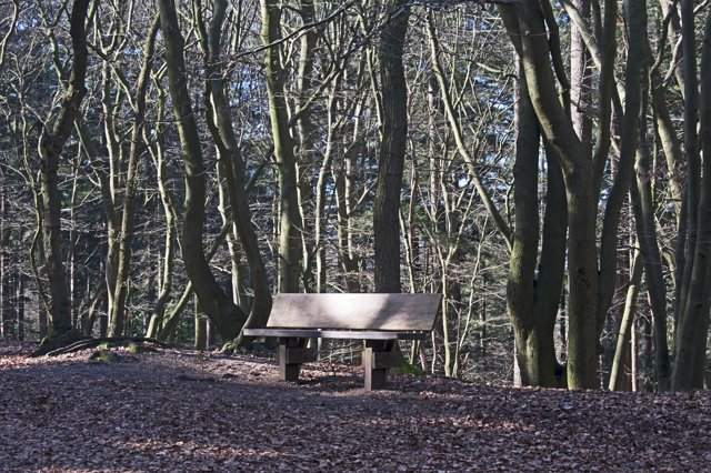 Steenmeel of kalk in het bos? De verschillen op een rij