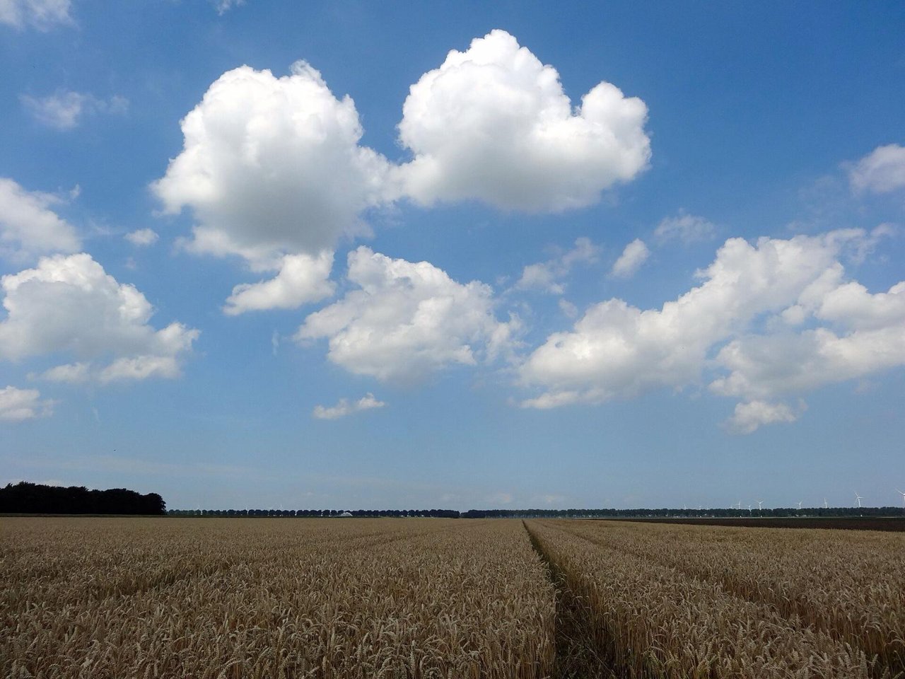 Steenmeel en CO2: wat weten we echt?